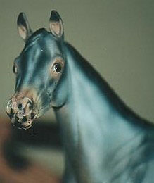 Weanling Painted by Dara West