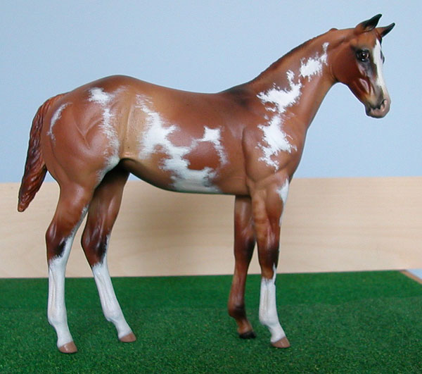 Weanling Painted by Dara West