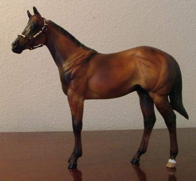 Weanling Painted by Dara West