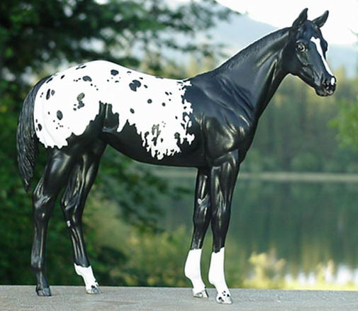 Weanling Painted by Suz Bourcier