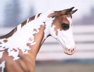 Weanling Painted by Cathy Wallden