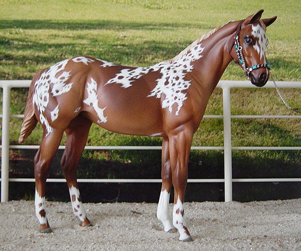 Weanling Painted by Cathy Wallden