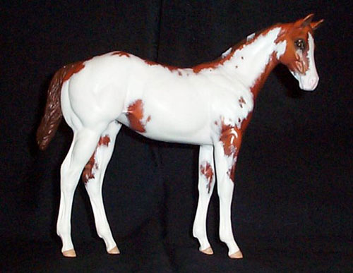 Weanling Painted by Lynn Weber