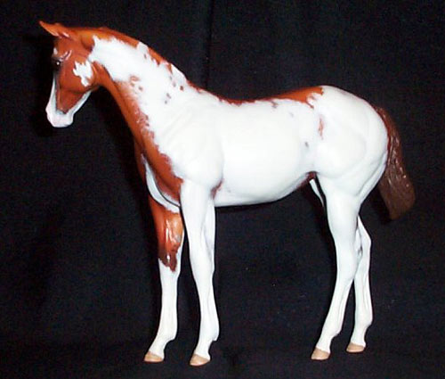 Weanling Painted by Lynn Weber