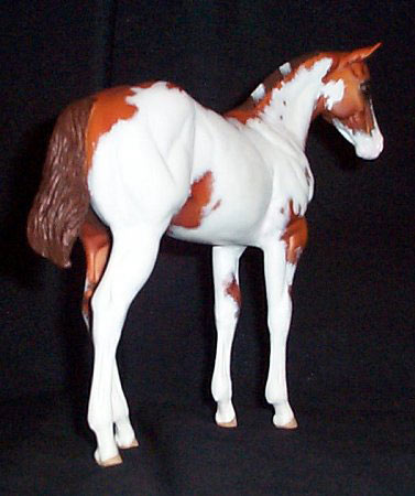 Weanling Painted by Lynn Weber