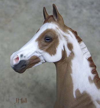 Weanling Painted by Judy Hall