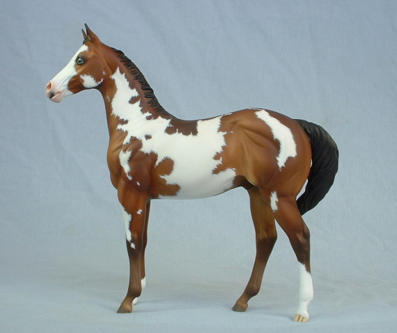 Weanling Painted by Sommer Prosser