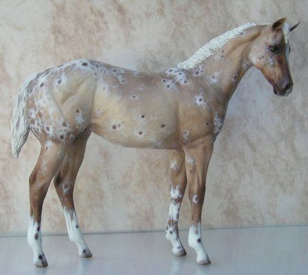 Weanling Painted by Sherry Clayton