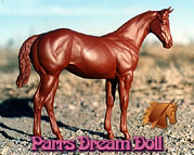 Parrs Dream Doll - Stock Horse Filly