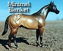 CFT Minimal Blanket Appaloosa