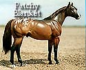 CFT Patchy Blanket Appaloosa