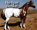 CFT No-Spot Blanket Appaloosa