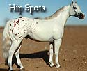 CFT Hip Spots Appaloosa