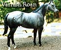 CFT Varnish Roan Appaloosa