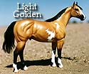 CFT Light GoldenBuckskin