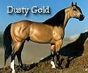 CFT Dusty Gold Buckskin