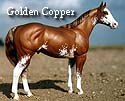 CFT Golden Copper Chestnut