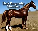 CFT Dark Burgundy Chestnut