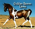 CFT Golden Brown Liver Chestnut