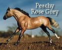 CFT Peachy Rose Grey