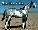 CFT Blue Slate Grulla