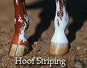 CFT Hoof Striping