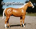 CFT Bright Golden Palomino