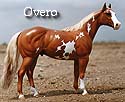 CFT Overo Pinto Pattern