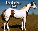 CFT Medicine Hat Pinto Pattern