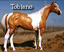 CFT Tobiano Pinto Pattern