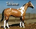 CFT Tobiano Pinto Pattern