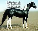 CFT Minimal Tobiano Pinto Pattern