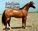 CFT Medium Red Dun