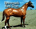 CFT Brownish Red Dun