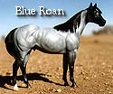 CFT Blue Roan