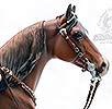 tack by Donna Hutchins